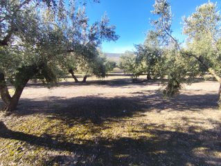 Rural plot in Úbeda