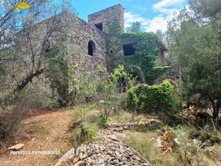 Mas à Peñiscola. Peñíscolafinca rustica