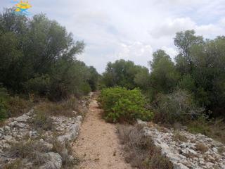 Bauernhof in Calig castellon 12589. Càligfinca rustica