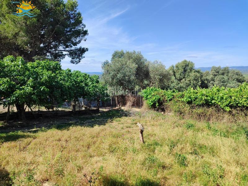 Foto cd846d4a-863d-4b17-b5d5-49ac8819988e. Chalet avec chauffage parking piscine dans Casco Urbano Vinaròs