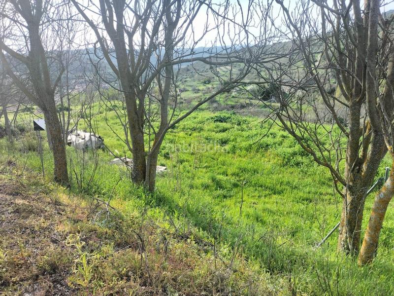 Foto 4c2acf70-625e-4ac5-ae58-5b68947d416f. Wohngrundstück in carretera tarancon-guadal 10 in Pastrana