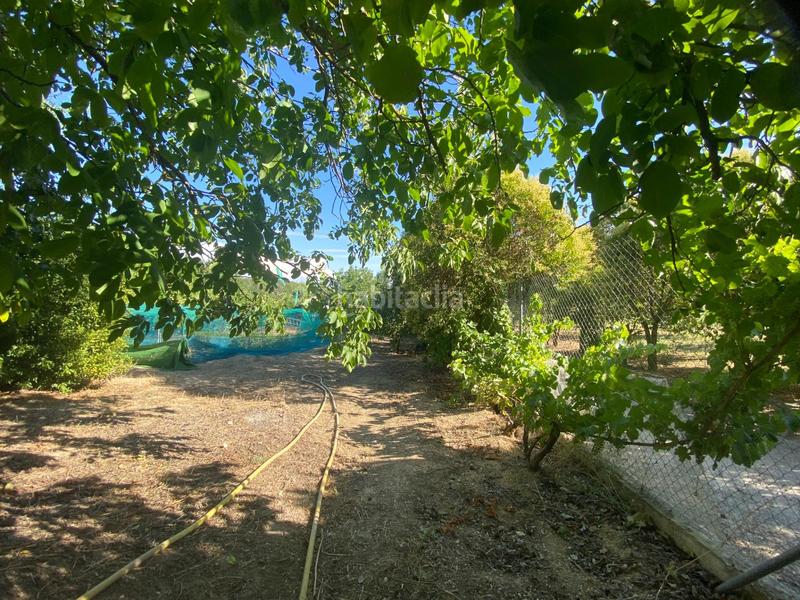 Foto 3874c275-9516-4367-8cb1-1759b5bcfb8c. Casa  con gran terreno en Loranca de Tajuña