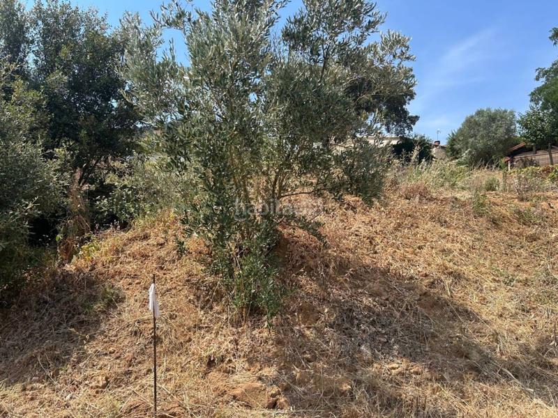 Foto 43e8bd88-beb8-4877-bb06-b713849dda9e. Terrain résidentiel dans Montornès del Vallès