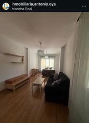 Pis a Mancha Real. Se vende piso en mancha real