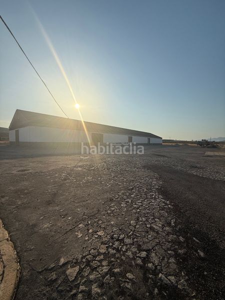 Foto 1a709a94-4145-4378-83df-e06d2f2be073. Nau industrial a Begíjar