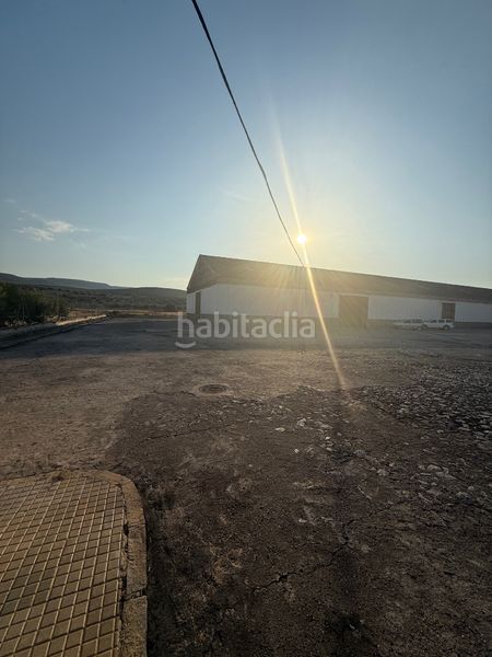 Foto e79578e1-fe24-4def-8f0b-1608b2a70024. Nau industrial a Begíjar