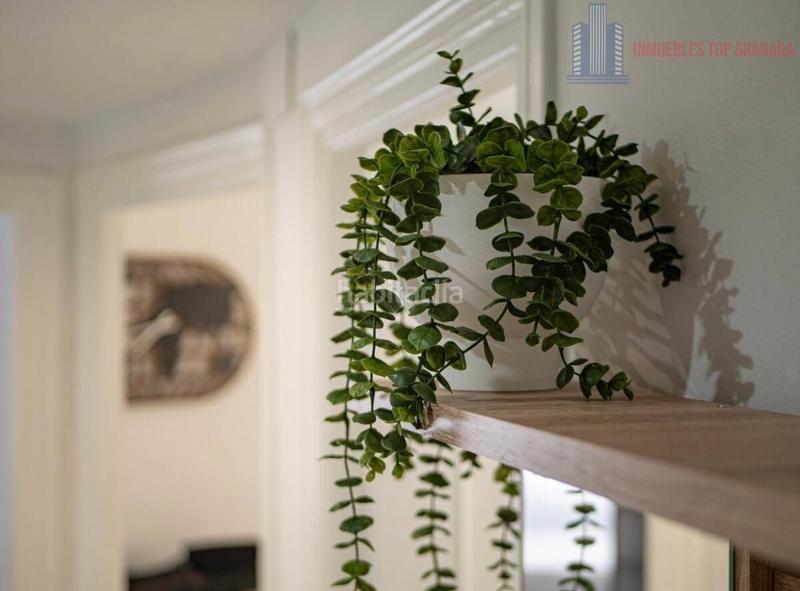 Foto 38a6a8a5-a259-4dc4-b9c2-c4ffc39f652a. Etagenwohnung in Plaza de Toros Granada