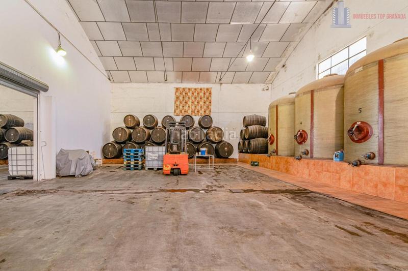 Foto 37c0b6a5-44ed-48a6-9cde-efa55bd8ab58. Business premise in Urbanizaciones Alhendín