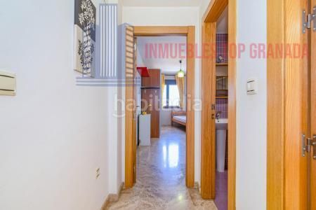 Foto c5c7a4bb-fae8-41ab-b866-8a4080bd2304. Pis a de los colegios 18 a Purchil Vegas del Genil