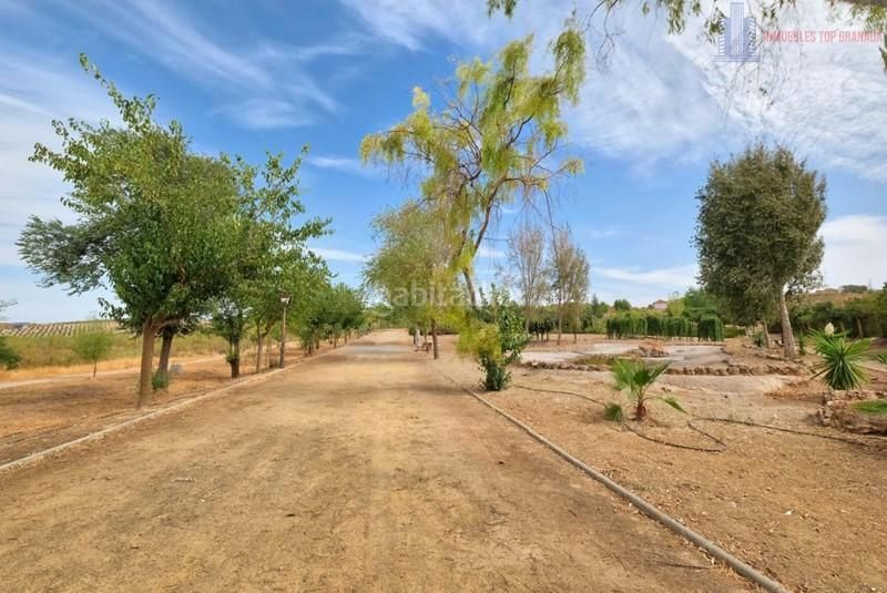 Foto a3f3280d-8d5f-45da-bfe4-c45698e47378. Terreny residencial a Dílar