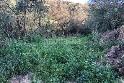 Foto d46b5386-4654-45f2-9f99-5247dff78fbf. Masia a Lecrín