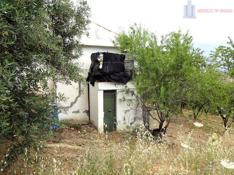 Foto 1deee71d-2953-4055-acd2-5e0a077ff043. Masia amb aparcament a Pinos Genil