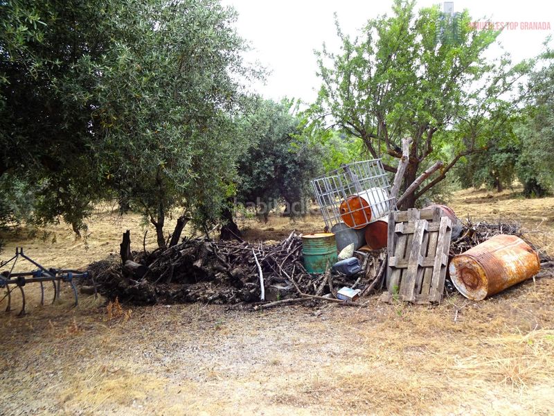 Foto 2852365e-14f5-4eff-9fb2-8cb75a5f1f8d. Masia amb aparcament a Pinos Genil