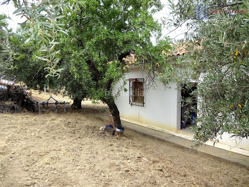 Foto 46d3f62d-1495-4564-8178-d60aa9f08eb3. Masia amb aparcament a Pinos Genil