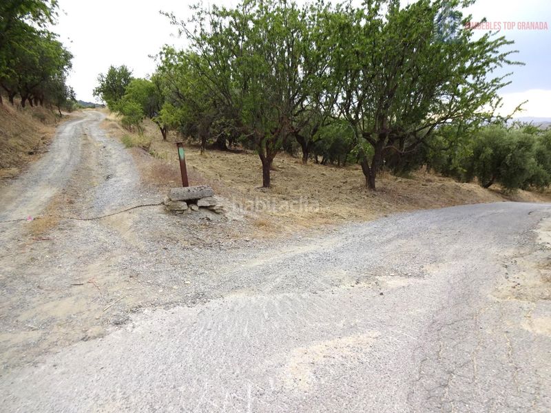 Foto 7adf1c98-3351-496f-b373-f0931801e6e6. Masia amb aparcament a Pinos Genil