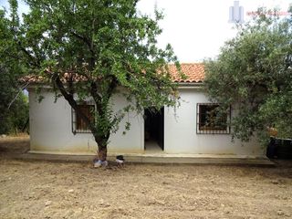 Country house  Fuente del lobo. Pinos genilfinca rustica