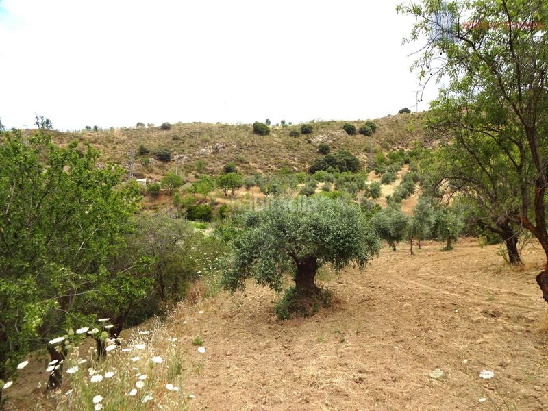 Foto f963888e-7294-403d-af49-37915934148a. Masia amb aparcament a Pinos Genil