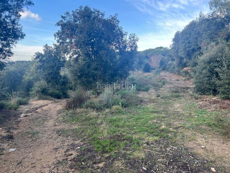 Foto 0df4e149-ce85-4283-9744-d021eeaa29e3. Propriété dans can beya 11 dans Figaró-Montmany