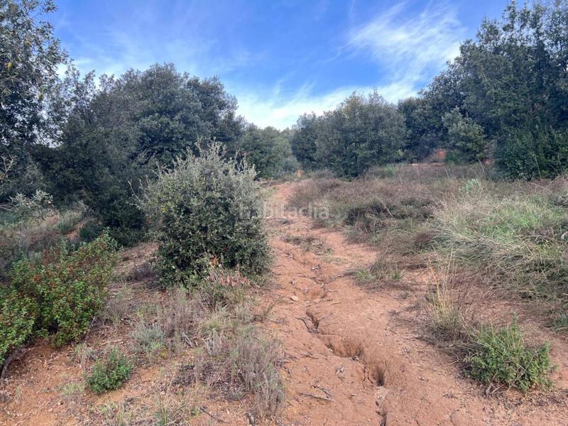 Foto 2a0a8ea6-9983-430c-a96f-e2c41172d69d. Propriété dans can beya 11 dans Figaró-Montmany