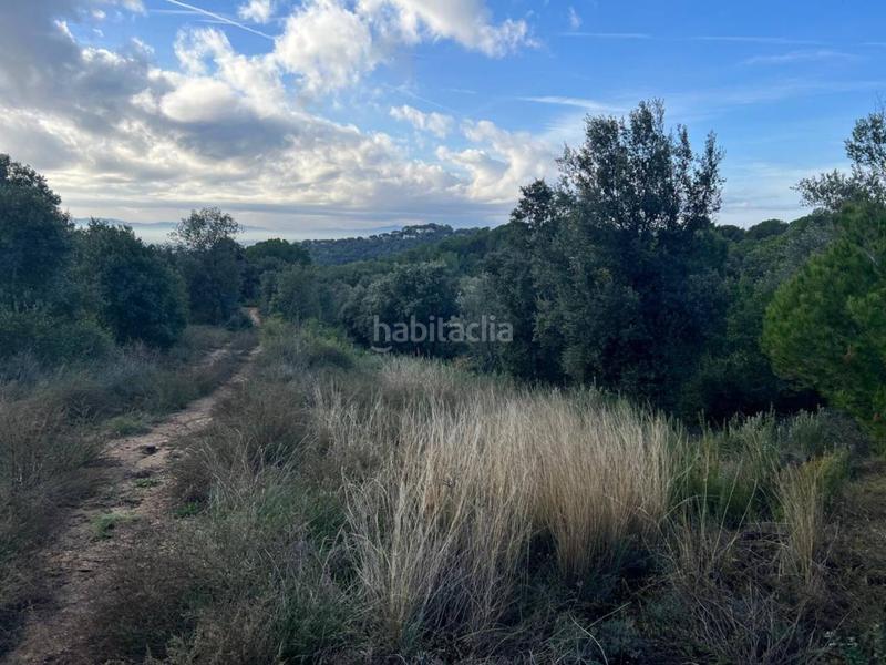 Foto 935c6b7d-6562-41a8-861b-ee33569a7b2a. Propriété dans can beya 11 dans Figaró-Montmany