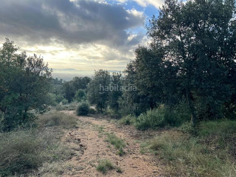 Foto d89236a0-2f74-4d68-9082-6eb6ebfe46f1. Propriété dans can beya 11 dans Figaró-Montmany