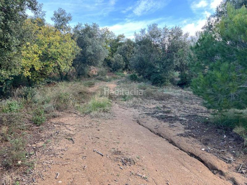 Foto dcc5af09-f640-4da1-9606-6c661802d581. Propriété dans can beya 11 dans Figaró-Montmany