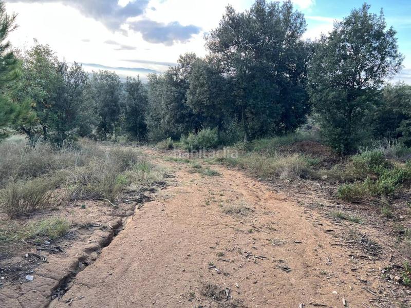 Foto e7b32663-6ab3-474e-b995-fd0f728831c3. Propriété dans can beya 11 dans Figaró-Montmany