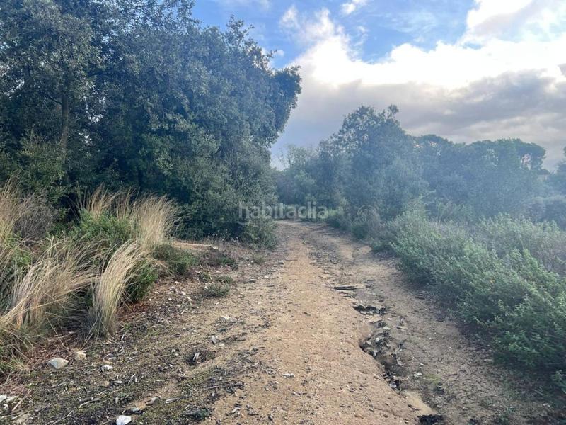 Foto ed5daf72-3ab4-4a7a-933e-d0fccb0b532a. Propriété dans can beya 11 dans Figaró-Montmany