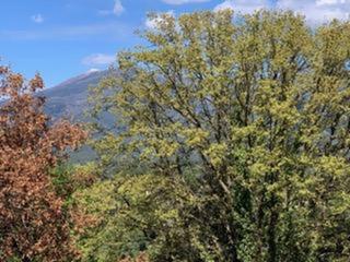 Terreny residencial  Soler de vilardell. Solar en venta en sant celoni