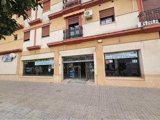 Local Comercial a Santa ana 112. Local comercial sta. ana palma del rio