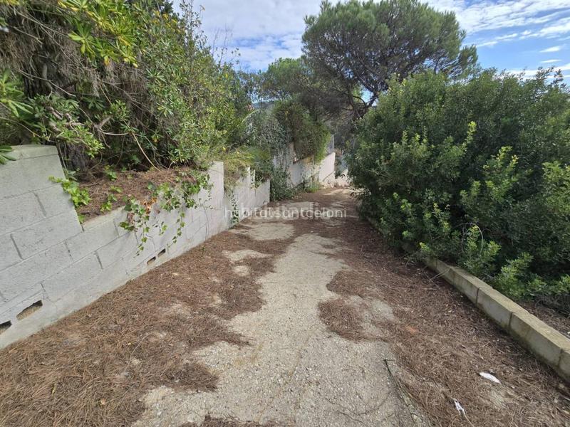 Foto 4f2446b7-acb9-49c1-afff-16e360d10041. Casa amb aparcament a Mas Mora-Sant Daniel Tordera