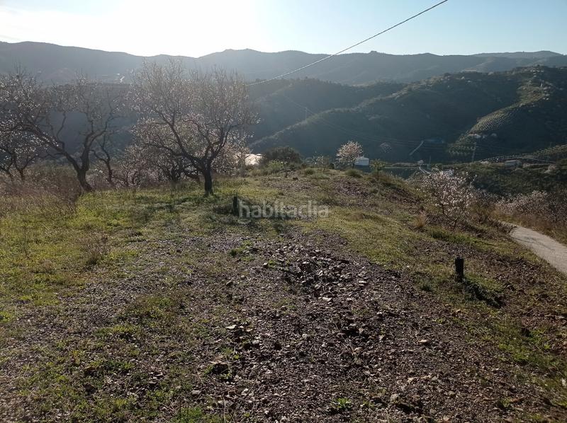 Foto 1ba719aa-fe8f-436b-a4dd-50b4815c6137. Finca rústica finca soleada con vistas al mar en Iznate
