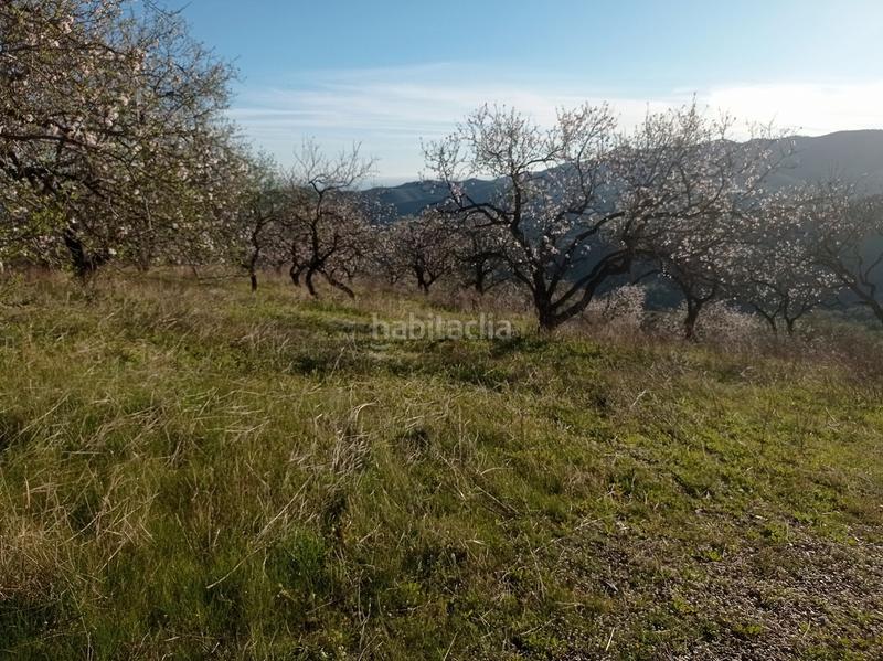 Foto ad08f606-c17f-4e0b-b85e-614e80388bd3. Finca rústica finca soleada con vistas al mar en Iznate