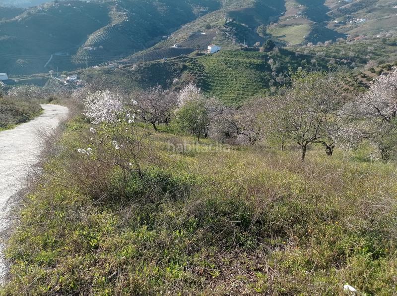 Foto b9b8f492-5fae-499a-83e0-6324c6ee2972. Finca rústica finca soleada con vistas al mar en Iznate
