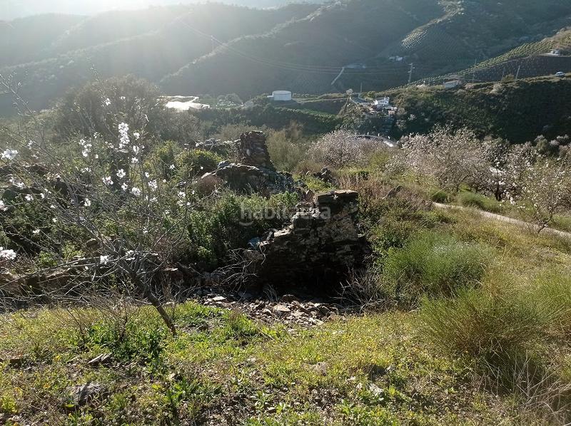 Foto bc8bd017-b4e2-467e-89f0-d37d64511ecb. Finca rústica finca soleada con vistas al mar en Iznate