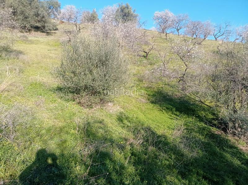 Foto be78a6cc-0f1d-4bc2-af0a-2c03b1f51754. Finca rústica finca soleada con vistas al mar en Iznate