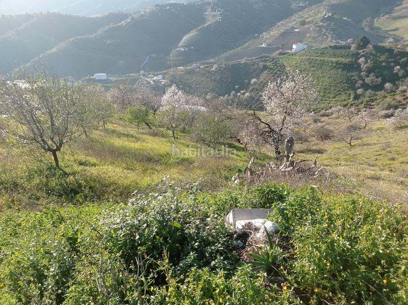 Foto c574fe13-1221-4e61-830e-e4ac9dac149a. Finca rústica finca soleada con vistas al mar en Iznate