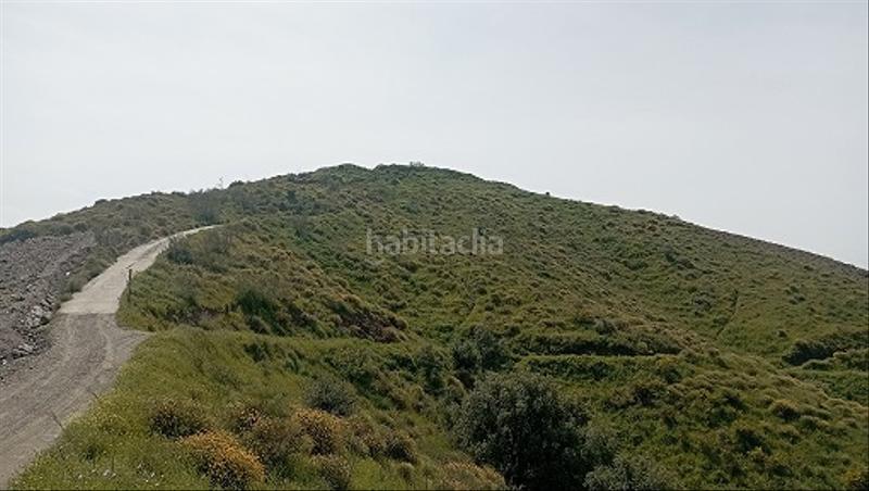 Foto a0412018-a6d6-466a-9157-61e40c29ca59. Finca rústica finca rustica barata en Almáchar