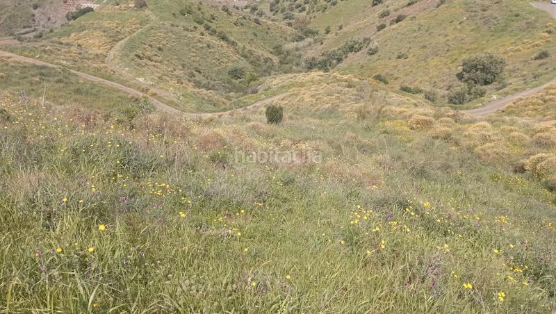 Foto b4d2a826-7bed-4cda-94de-b6217e197511. Finca rústica finca rustica barata en Almáchar