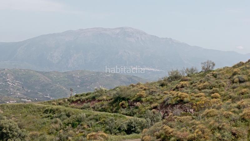 Foto d44e3201-2120-4785-badc-ec92eb9152de. Finca rústica finca rustica barata en Almáchar