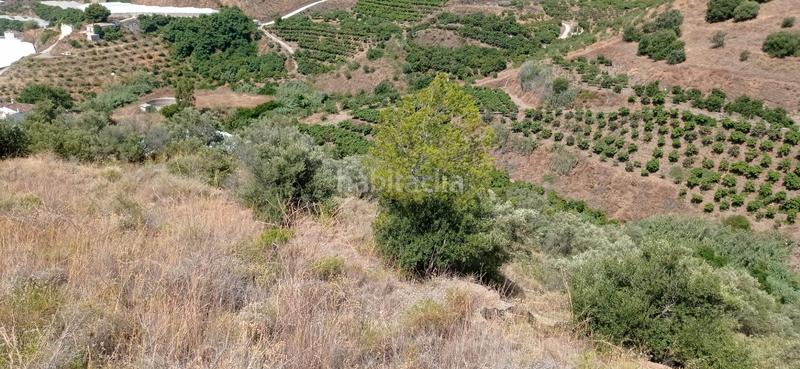 Foto 021dda06-2961-496e-bbf8-f77c87f879e8. Finca rústica a n/a a Lagos