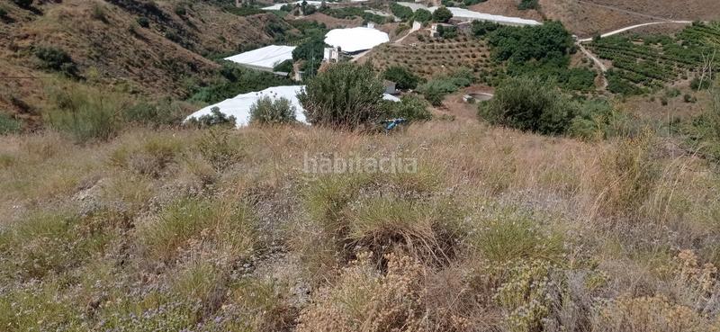 Foto 98c63ada-461a-449a-93c7-e4390179f094. Finca rústica a n/a a Lagos