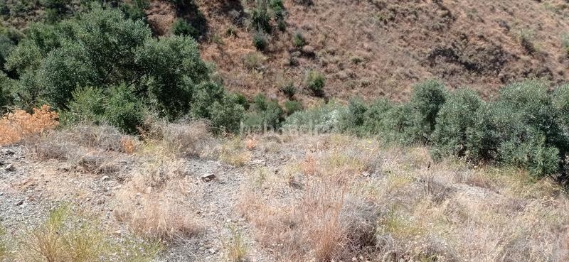 Foto c119ef7b-a029-43c6-920a-bb10e06cd160. Finca rústica a n/a a Lagos