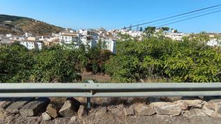 Fondo rustico in Calle la escalerilla 30. Parcela en bancales de riego en algarrobo