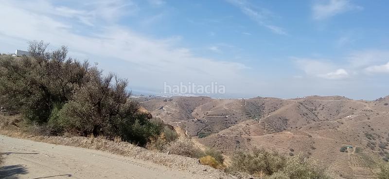 Foto 136a22f4-554c-4de5-81a4-9d89e7ab6fcf. Bauernhof in diseminado el pago rio 1165 in Torrox pueblo Torrox