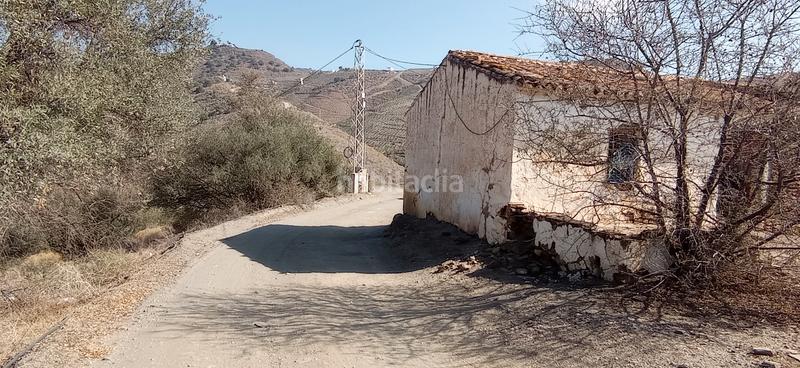Foto 7f733705-8d19-484a-ada5-d15469876220. Bauernhof in diseminado el pago rio 1165 in Torrox pueblo Torrox