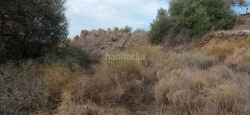 Foto 8d6a785b-dcba-4150-8044-c208ca6db716. Bauernhof in diseminado el pago rio 1165 in Torrox pueblo Torrox