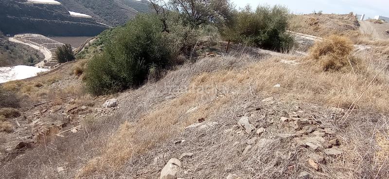 Foto b9c136d2-a959-4700-bd86-afb851c9673a. Bauernhof in diseminado el pago rio 1165 in Torrox pueblo Torrox