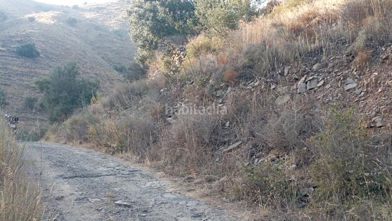 Foto a720fa4f-1f8a-4825-971c-c142e90c99a0. Finca rústica a carretera El Morche 232 a El Morche Torrox