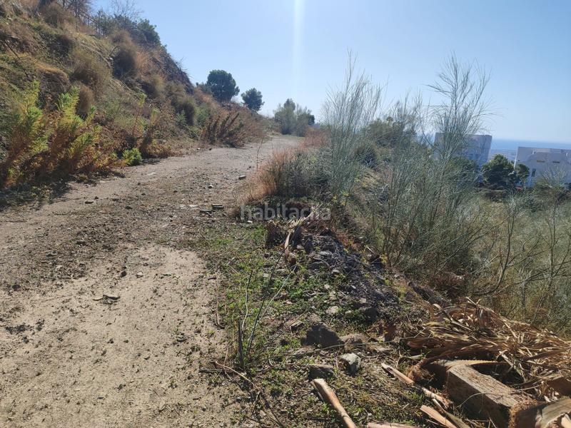 Foto 27073a39-14a8-4f40-8245-6a224aff7170. Finca rústica a calle fuente ariza 15a a Algarrobo pueblo Algarrobo